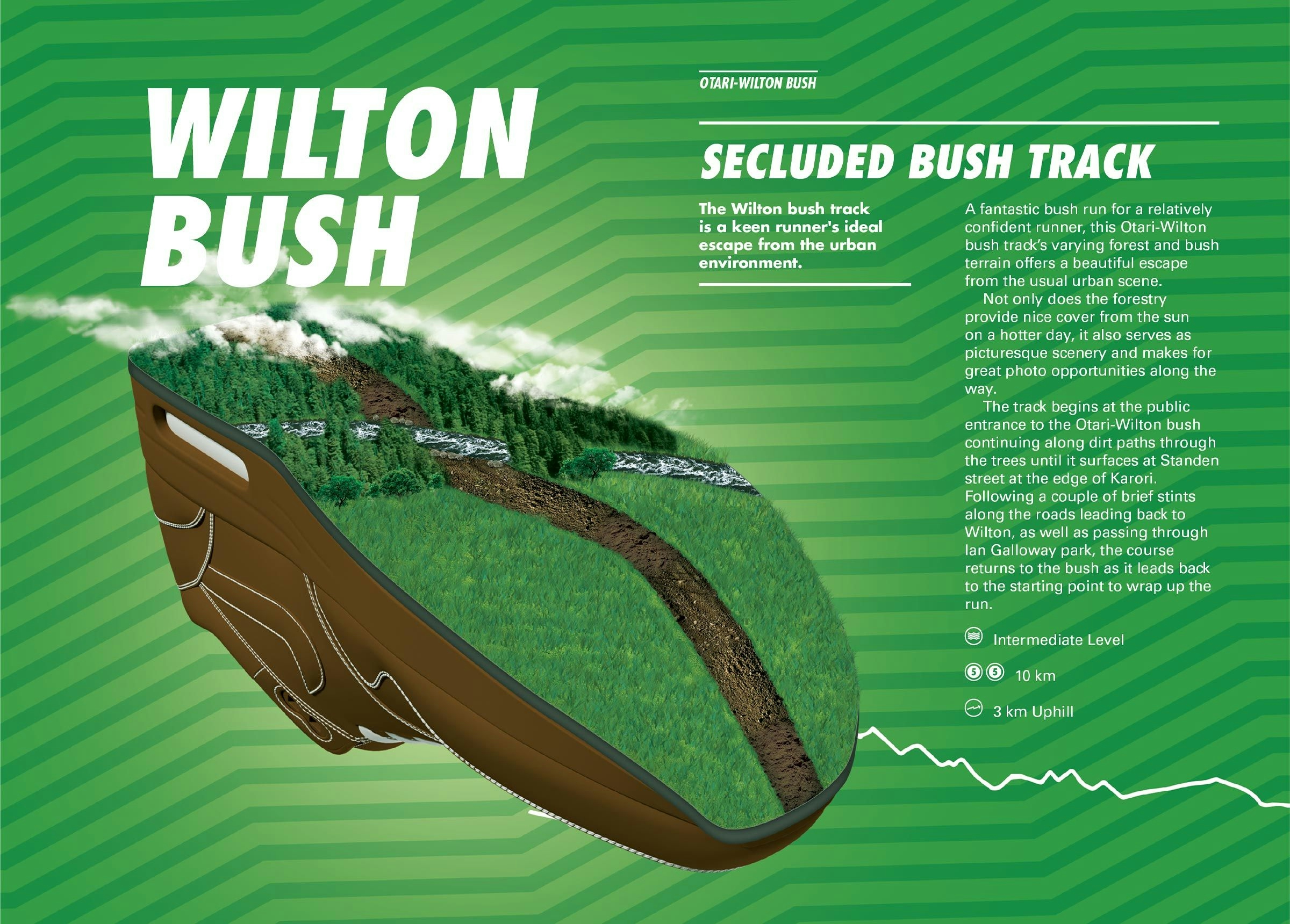 Secluded bush track: Wilton bush